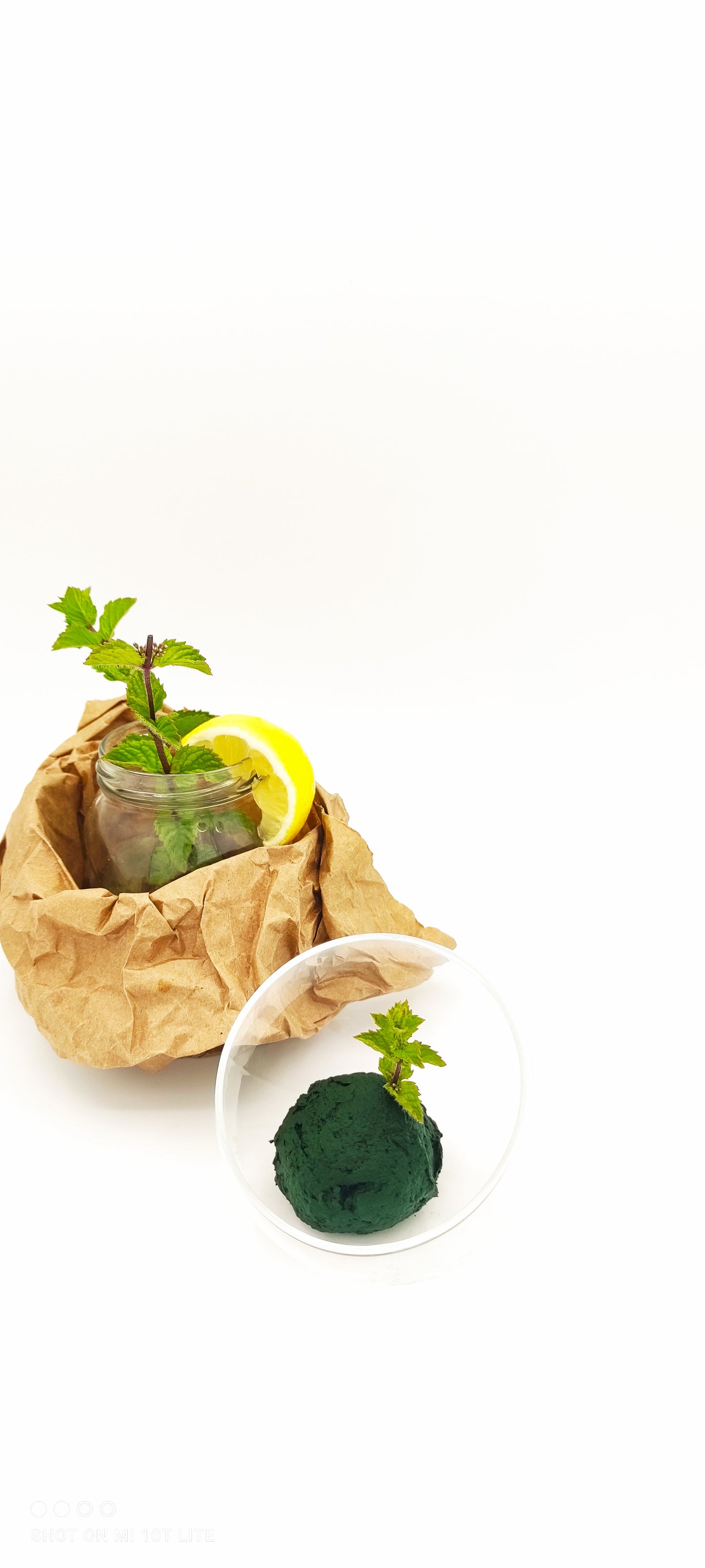 Spirulina Viva: Energia Fresca e Naturale